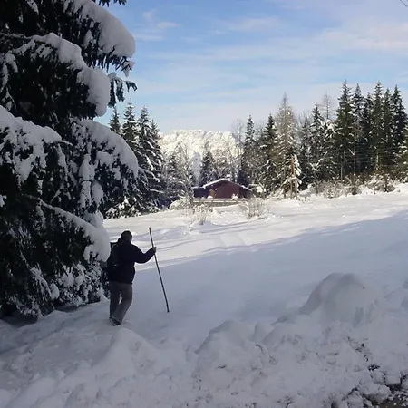 Kappacher Huette Bad Vigaun