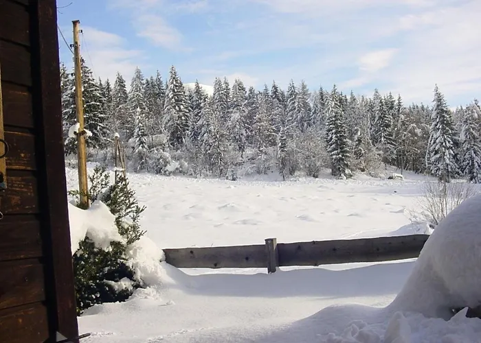 Dom wakacyjny Kappacher Huette