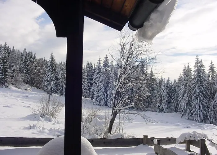 Dom wakacyjny Kappacher Huette *